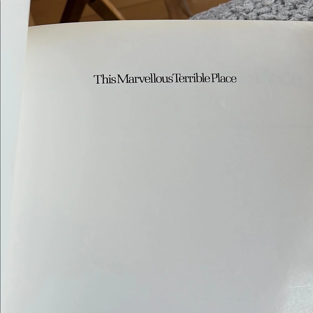 This Marvellous Terrible Place Book - Picture 2 of 5